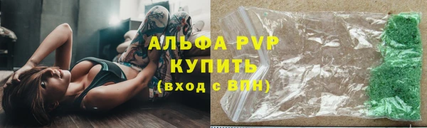 PSILOCYBIN Верхний Тагил