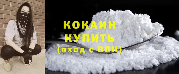 PSILOCYBIN Верхний Тагил