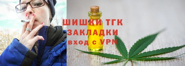 стаф Россошь