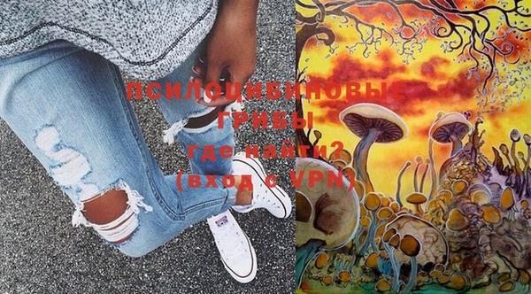 PSILOCYBIN Верхний Тагил