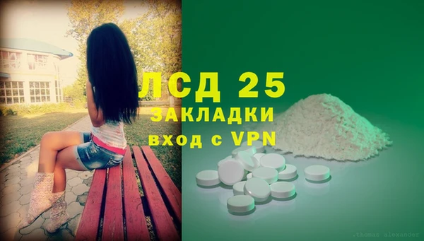 PSILOCYBIN Верхний Тагил