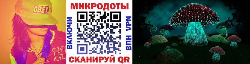 купить гидра ссылки Псилоцибиновые грибы MAGIC MUSHROOMS Мостовской